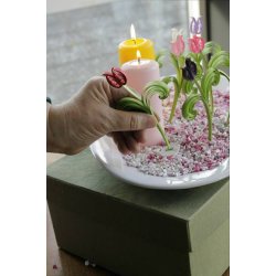 Quilling Template Ark - Tulips - Tulipaner