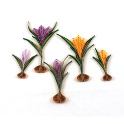 Quilling Template Ark - Crocus - Krokus