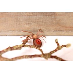 Quilling Template Ark - Little Lucky Bug &amp; Spider - Lille lykke Mariehne og Edderkop