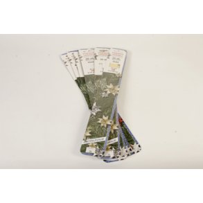 25 mm Stjernestrimler - 40 stk. - Genbrugspapir