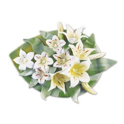 Udstandser st med struktur - Blade - Lange