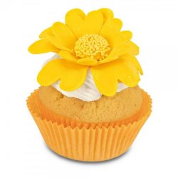 Udstandser st - Studenter nellike