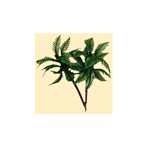 Palmetræer 8 cm incl stamme