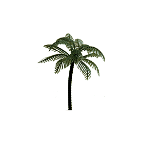 Palmetræer 12 cm incl stamme