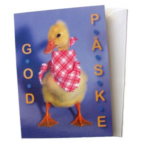  Pskekort - Pskelling med trlde