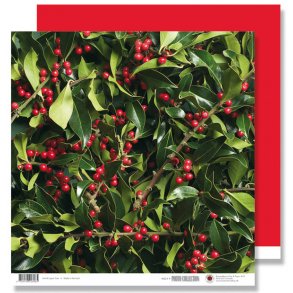 Scrapbookingark - Foto - Kristtjørn