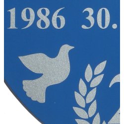 25 r - Skjold til slvbryllup - Fix og frdig