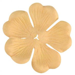 Pynteblomster - Cream - 5 cm