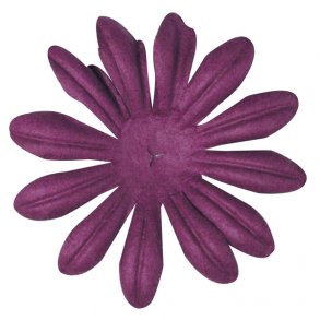 Pynteblomster - Purple - 6 cm