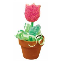 Udstikker s&aelig;t - For&aring;r - 4 dele i rustfri st&aring;l