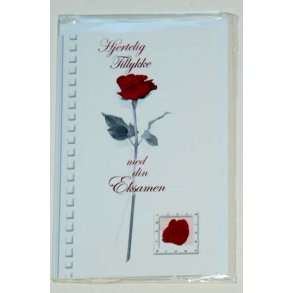 Tillykke med eksamen