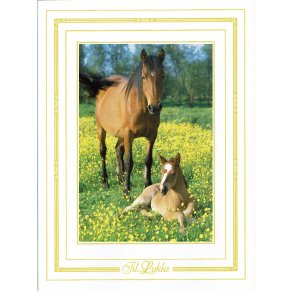 Telegram konfirmation - Heste motiv