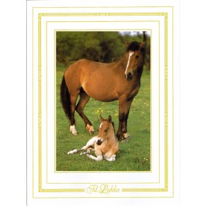 Telegram konfirmation - Heste motiv