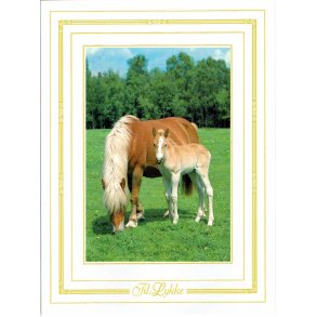 Telegram konfirmation - Heste motiv