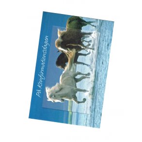 Telegram konfirmation - heste i ramme