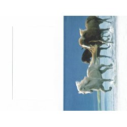 Telegram konfirmation - heste i ramme