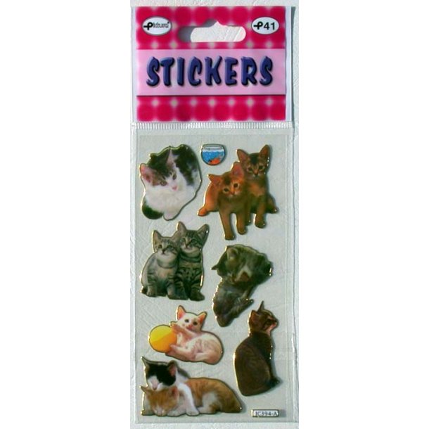 Stickers - Katte